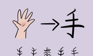 Chinese radical and related words：：手（Hand）